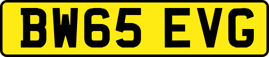 BW65EVG