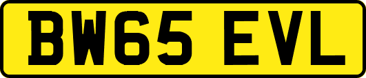 BW65EVL