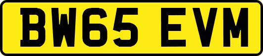 BW65EVM