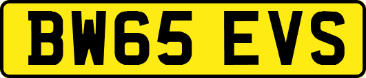 BW65EVS