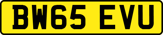 BW65EVU