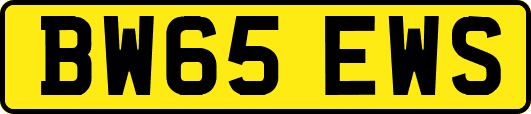 BW65EWS