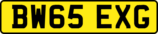 BW65EXG