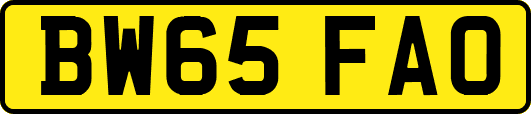 BW65FAO