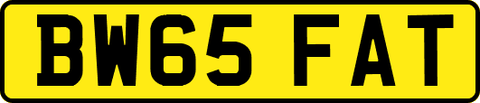 BW65FAT