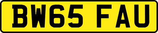 BW65FAU