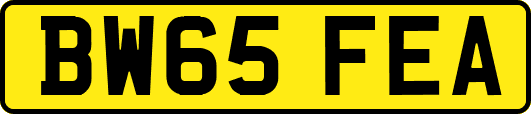 BW65FEA