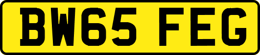 BW65FEG