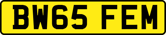 BW65FEM