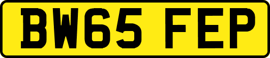 BW65FEP