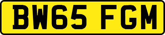 BW65FGM