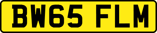 BW65FLM