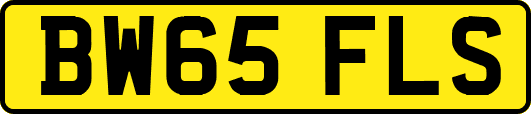 BW65FLS
