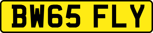 BW65FLY