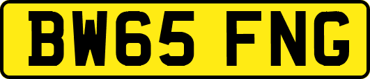BW65FNG