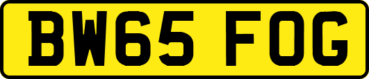 BW65FOG