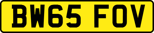 BW65FOV