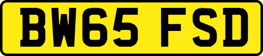 BW65FSD