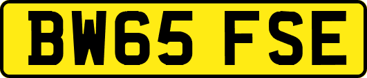 BW65FSE
