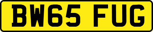 BW65FUG