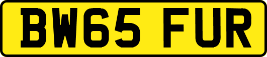 BW65FUR