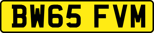 BW65FVM