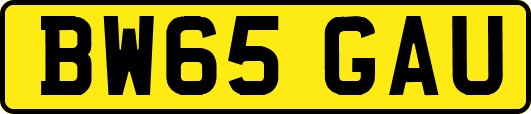 BW65GAU