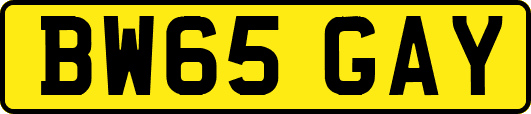 BW65GAY
