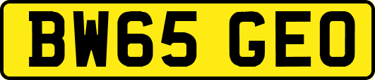 BW65GEO