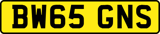 BW65GNS