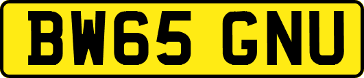 BW65GNU