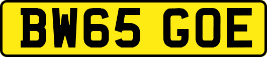 BW65GOE