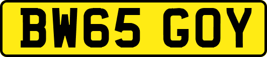 BW65GOY
