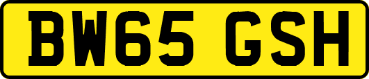 BW65GSH