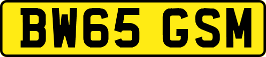 BW65GSM