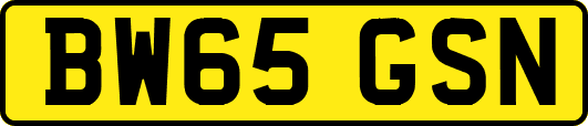 BW65GSN