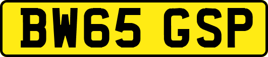 BW65GSP