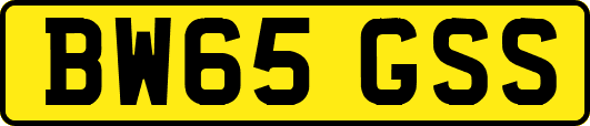 BW65GSS