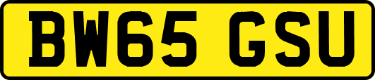 BW65GSU