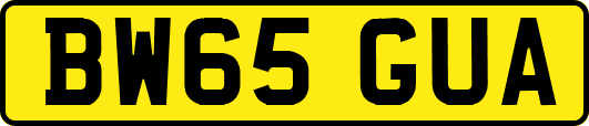 BW65GUA