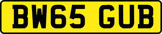 BW65GUB