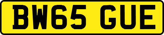 BW65GUE