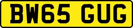 BW65GUG