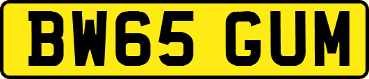 BW65GUM
