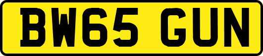 BW65GUN