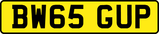 BW65GUP