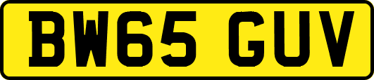 BW65GUV