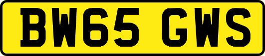 BW65GWS