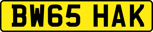 BW65HAK