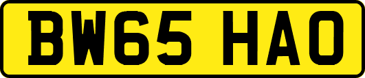 BW65HAO